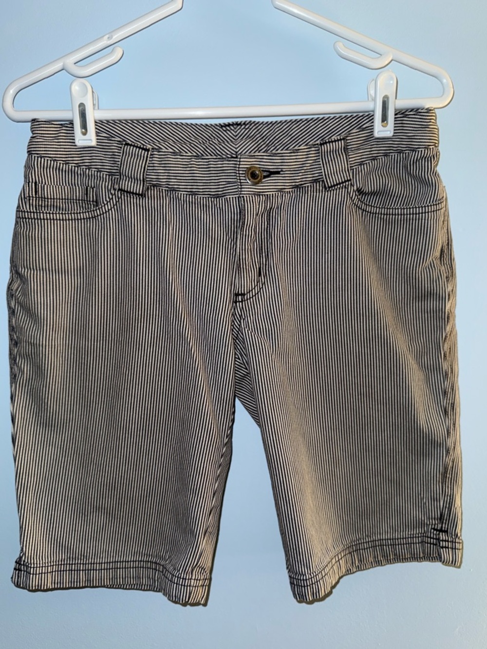 Patagonia striped shorts